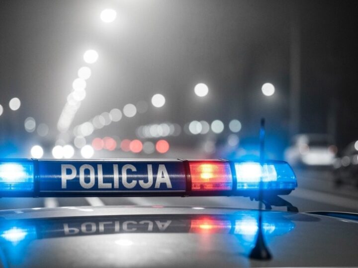 Wandal z Zamościa skazany na więzienie za zniszczenie donicy w parku