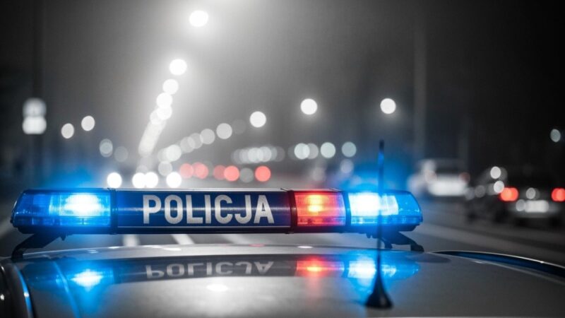 Wandal z Zamościa skazany na więzienie za zniszczenie donicy w parku