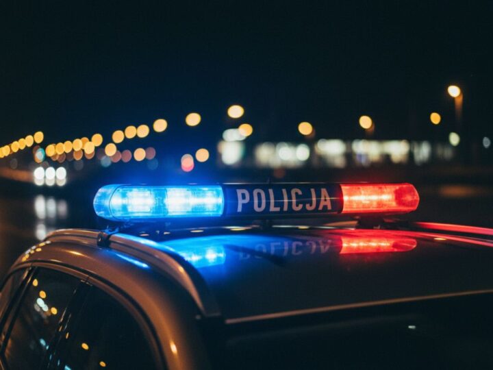Kłusownictwo: ukryte zagrożenie dla fauny i ludzi