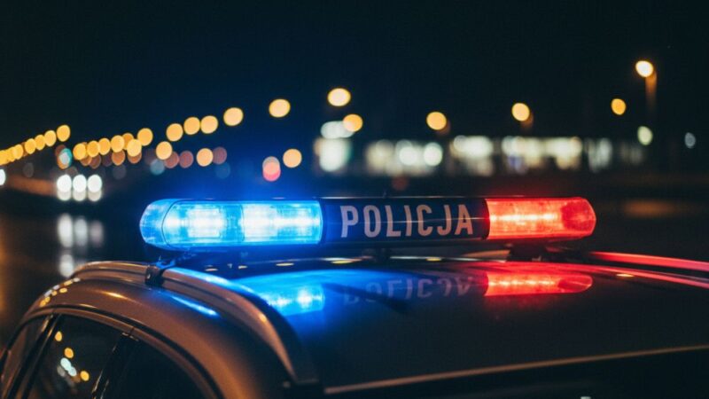 Kłusownictwo: ukryte zagrożenie dla fauny i ludzi