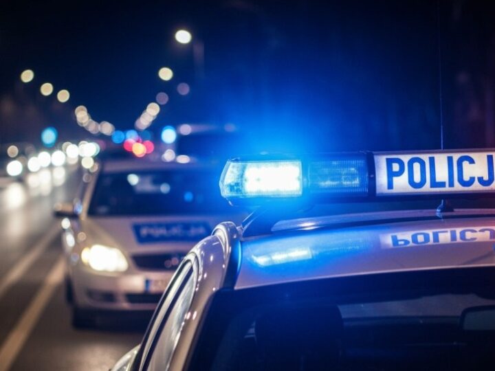 Zamojska policja błyskawicznie odzyskała skradzioną kosiarkę i zatrzymała sprawcę