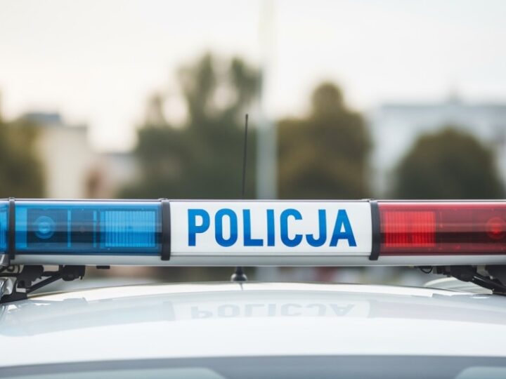 Oszustwa w Lubelskiem: 470 tys. zł w rękach przestępców!