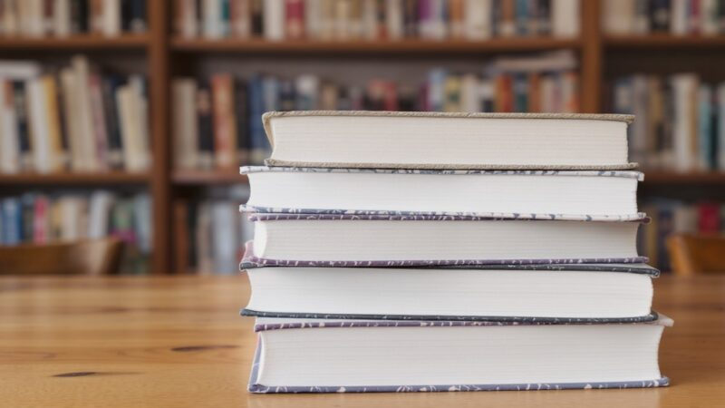 Ulica Literacka w Parku Miejskim – odkryj świat literatury i sztuki!