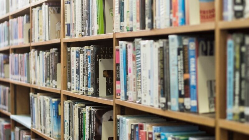 Kulturalne Odkrycia na Zamojskich Rynkach