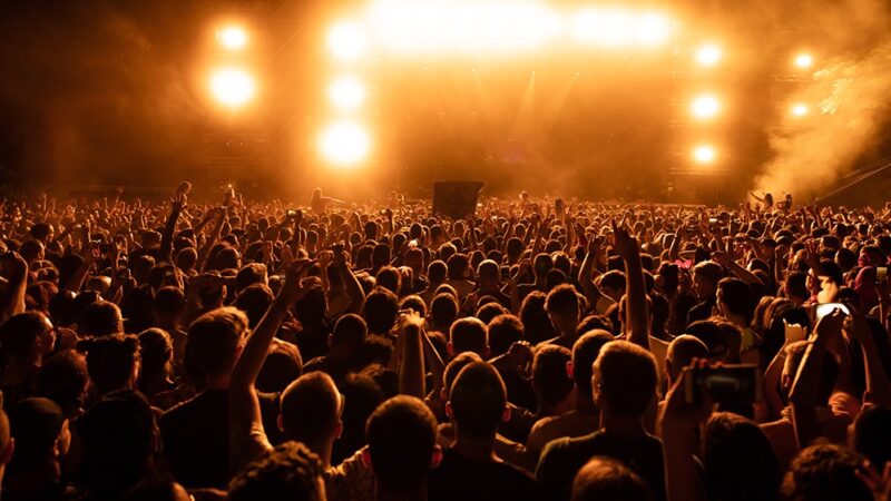 Zamość w centrum sztuki: Festiwal Ilustracji 2023
