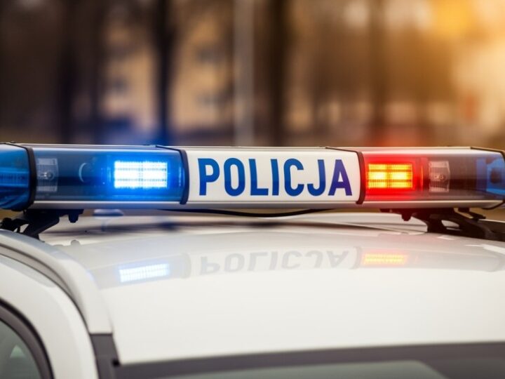 Chuligan zdewastował róże w Zamościu, czeka go surowa kara