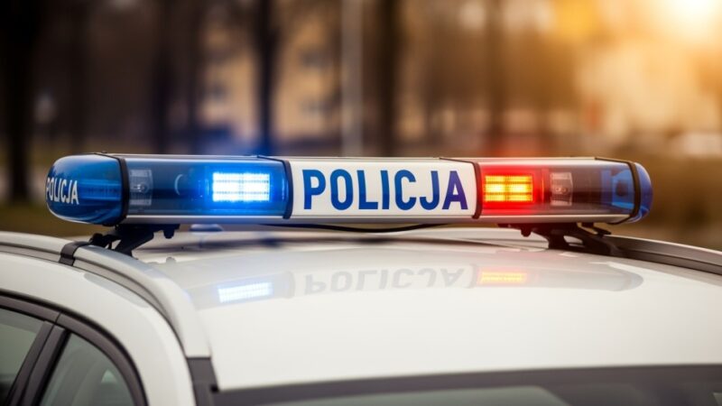 Chuligan zdewastował róże w Zamościu, czeka go surowa kara