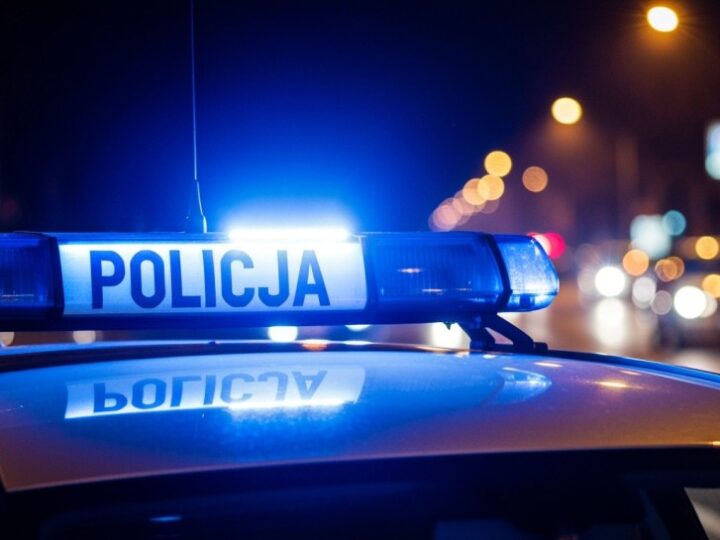 Zatrzymano oprawcę: Policja ratuje psy z tragicznych warunków