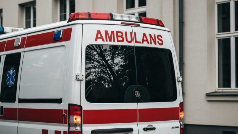Jaśniejsze ulice, bezpieczniejsze życie: Gmina Radecznica wprowadza nowoczesne oświetlenie LED