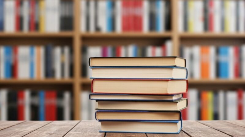 45 bibliotekarzy szkoliło się w Radecznicy. Chodzi o walkę z dezinformacją