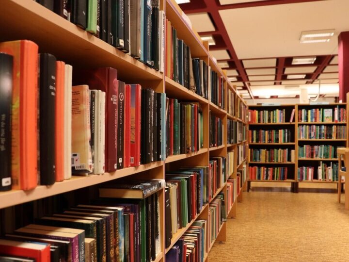 Noc Pełna Magii w Bibliotece: Odkryj Nowe Możliwości w Zwierzyńcu!