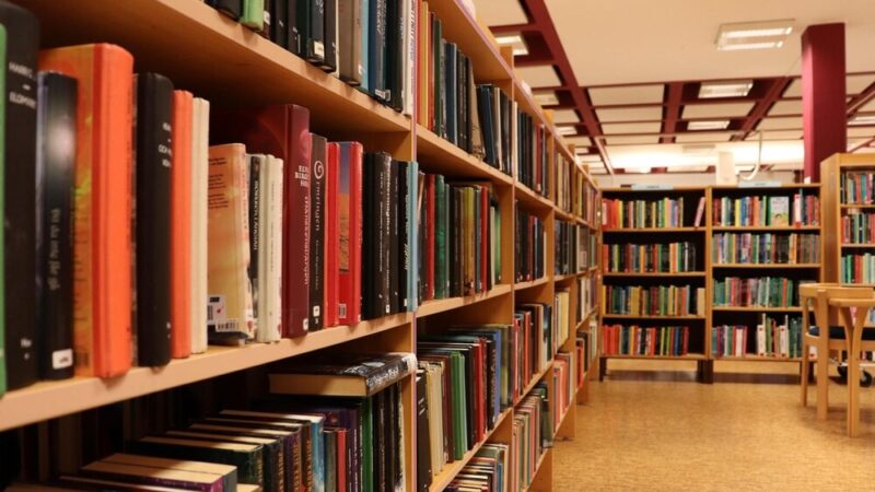 Noc Pełna Magii w Bibliotece: Odkryj Nowe Możliwości w Zwierzyńcu!