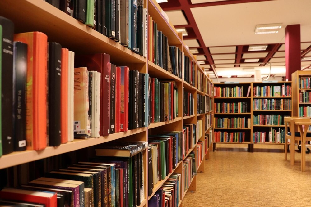 Noc Pełna Magii w Bibliotece: Odkryj Nowe Możliwości w Zwierzyńcu!